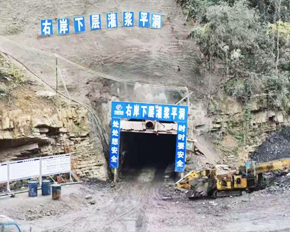 惠水縣平寨水庫工程右岸隧洞及電站土建及安裝工程(施工2標(biāo))項目